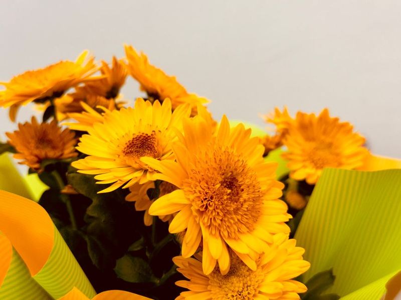 Weekly Subscriber Box